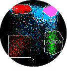 bulle cyto FR